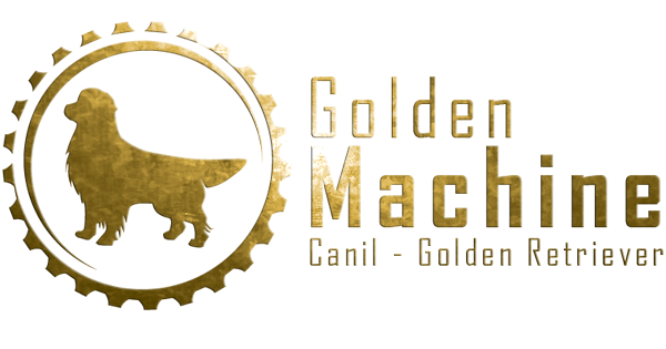 Filhotes de Golden Retriever Logo